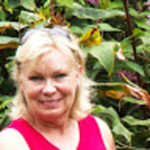 Meet your Posher, Jackie